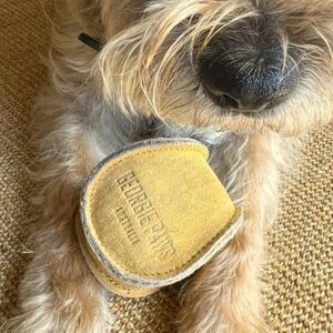 NWT Georgie Paws Ball-Gold